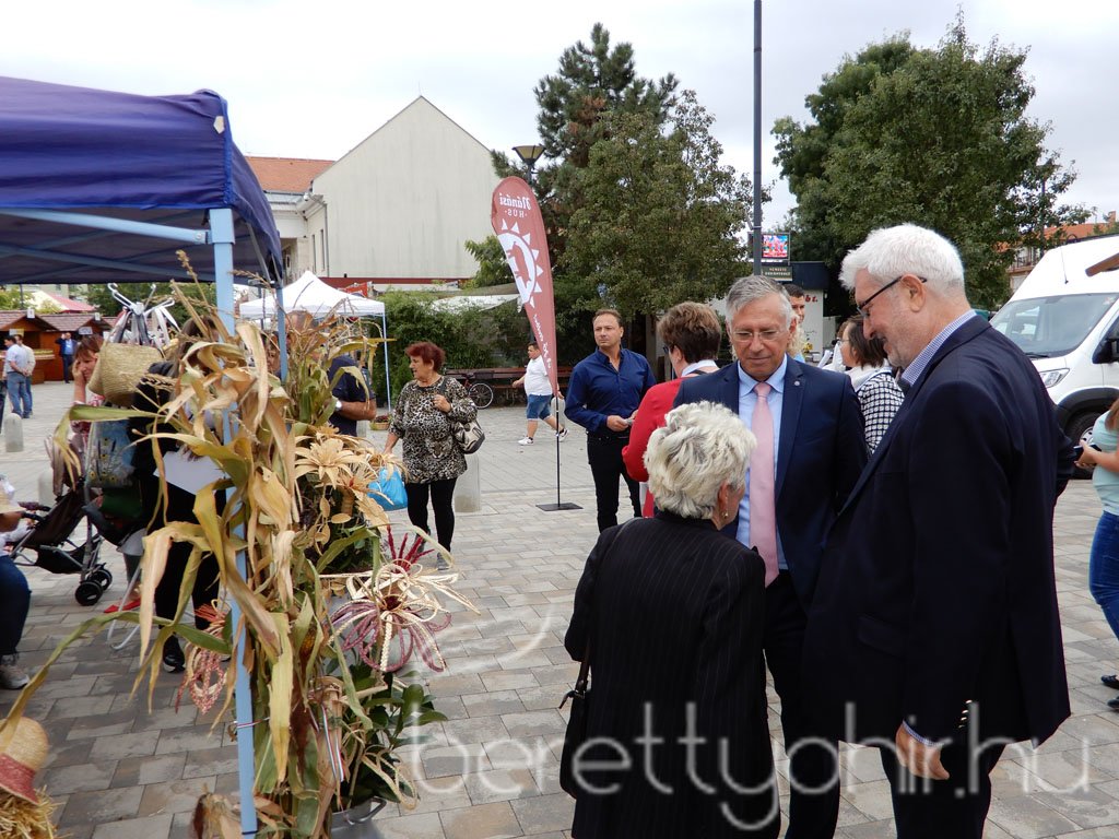 Helyi Értékek Startja 74